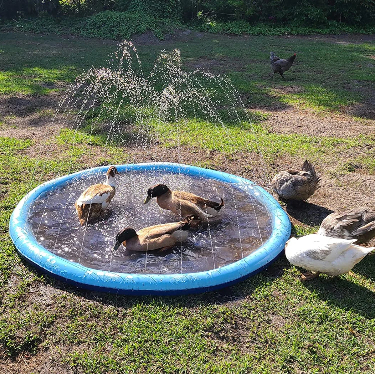 Dog Pool Splash Pad, Anti-Slip Sprinkler Pad for Kids & Dogs, 0.58Mm Thick Durable Material