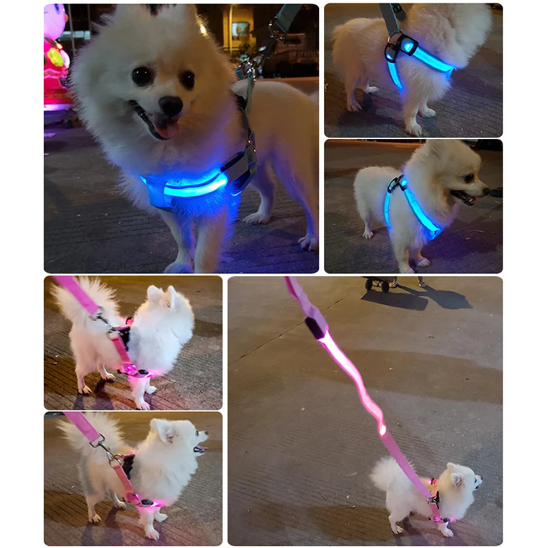 Light up. Safety Harness Dog Flashing Light Harness LED 