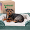 Pet Bed for Dogs and Cats - Plush and Velvet Waves Perfect Comfort Sofa-Style Memory Foam Dog Bed, Removable Machine Washable Cover - Celadon Green, Medium